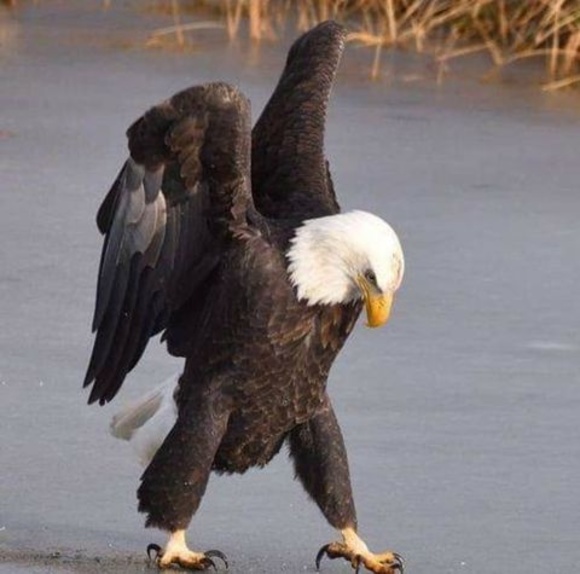 Meet your Posher, Glenn - Picture 1 of 1